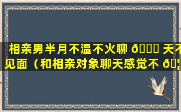 相亲男半月不温不火聊 🐝 天不见面（和相亲对象聊天感觉不 🦟 温不火）